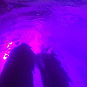 美女被捅的不停
