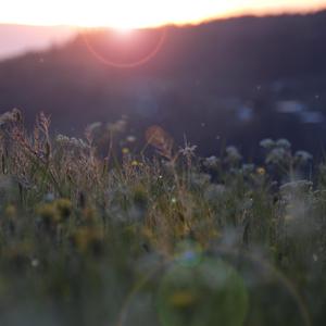 美女被捅的不停

